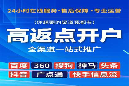 SEM广告投放策略：成功案例解析